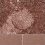 Shimmering Chestnut Brown eye shadow for vibrant looks and stunning makeup results.