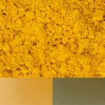 Vibrant yellow plantain powder showcases its rich color and texture for culinary use.