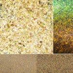 Shimmering golden glitter texture for crafts, design, and artistic projects.