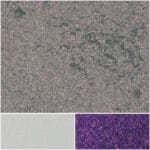 Diamond dust texture in red shades, perfect for art and design applications.