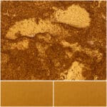 Marvel Tan Dust is a vibrant, shimmering pigment for art and cosmetics.