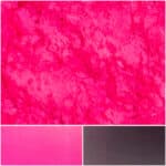 Vibrant dragon fruit powder in vivid pink shades, perfect for smoothies and desserts.