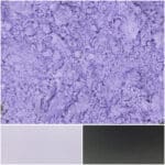 Light plum powder surrounded by white and black textures, perfect for creative projects.