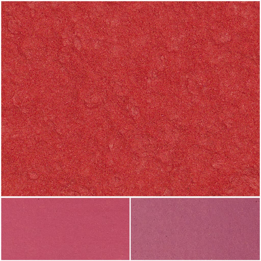 Vibrant Fiesta Carnation Pink color swatch, perfect for design and craft projects.