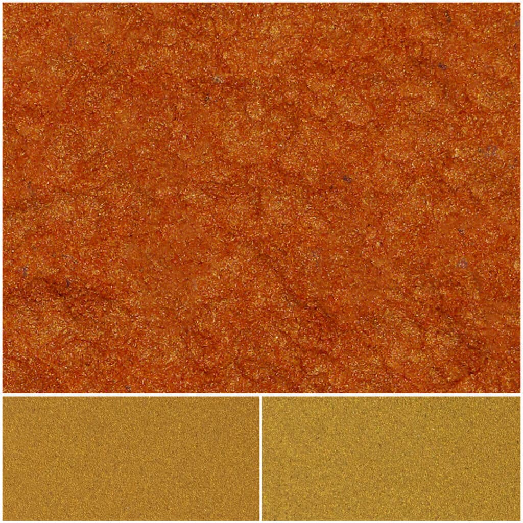 Vibrant Fiesta Sun Coral showcasing rich orange and golden colors for stunning decor.