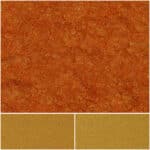 Vibrant Fiesta Sun Coral showcasing rich orange and golden colors for stunning decor.