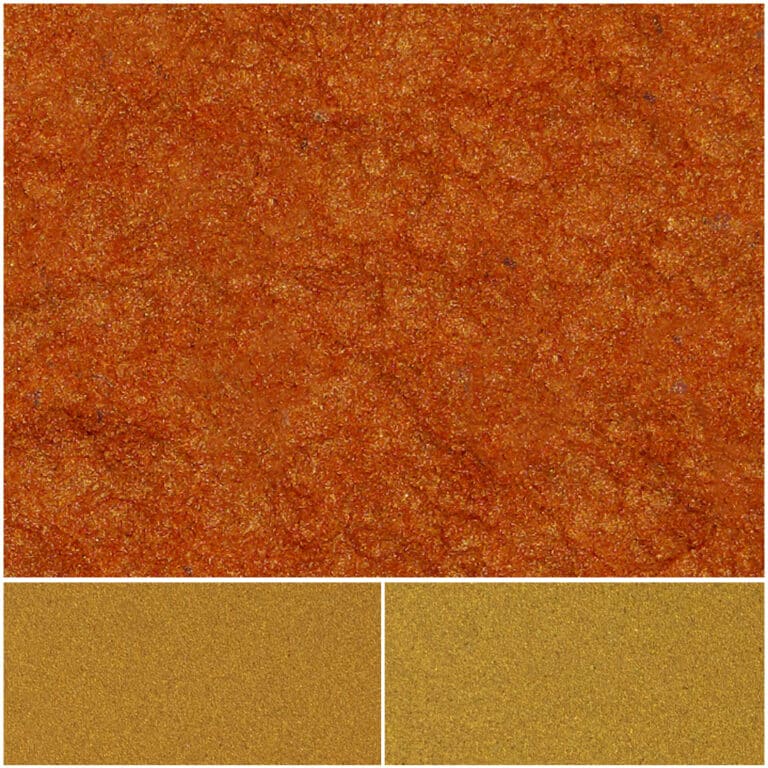 Vibrant Fiesta Sun Coral showcasing rich orange and golden colors for stunning decor.