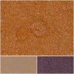 Glamour Creamsicle color swatches showcasing warm orange, beige, and deep purple shades.