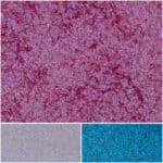 Vibrant neon pink glitter texture perfect for beauty and craft projects.
