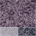 Vibrant violet glitter for glamorous party decorations and crafts.